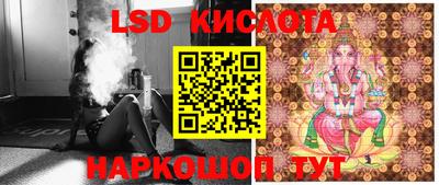 прущие грибы Ставрополь