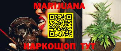 не бодяженный Сланцы