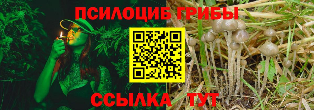 Псилоцибиновые грибы мухоморы  Вход с VPN  Нерюнгри  Галлюциногенные грибы прущие грибы 